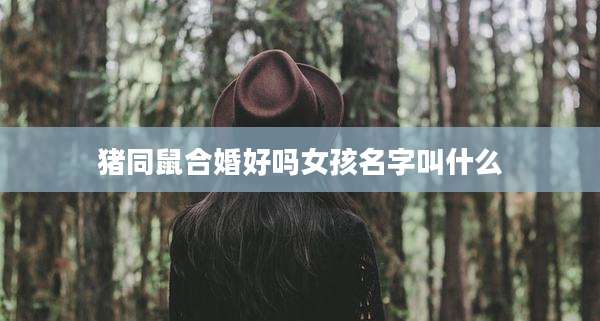 猪同鼠合婚好吗女孩名字叫什么
