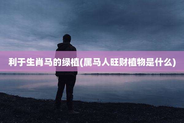 利于生肖马的绿植(属马人旺财植物是什么)
