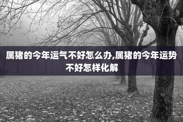属猪的今年运气不好怎么办,属猪的今年运势不好怎样化解