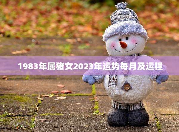 1983年属猪女2023年运势每月及运程