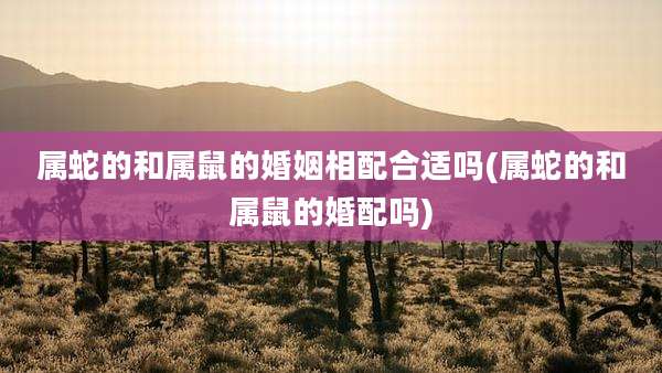 属蛇的和属鼠的婚姻相配合适吗(属蛇的和属鼠的婚配吗)