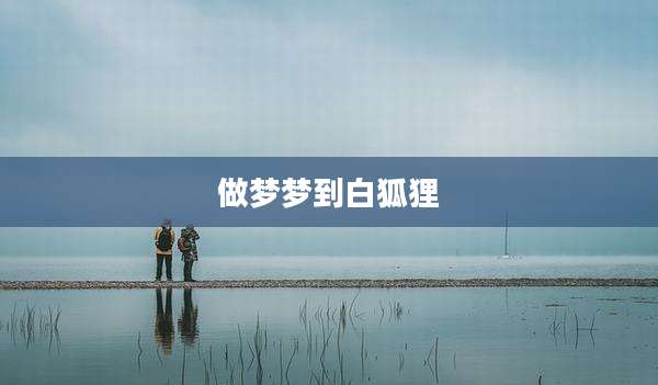 做梦梦到白狐狸