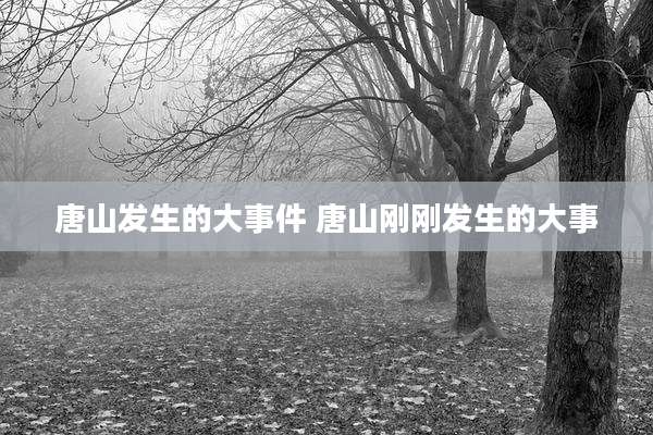 唐山发生的大事件 唐山刚刚发生的大事