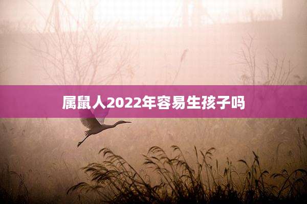 属鼠人2022年容易生孩子吗