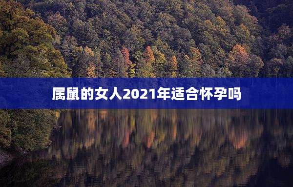 属鼠的女人2021年适合怀孕吗