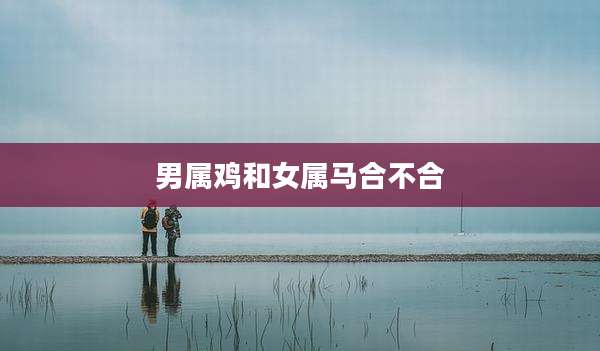 男属鸡和女属马合不合