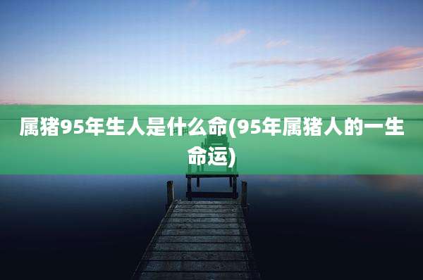 属猪95年生人是什么命(95年属猪人的一生命运)
