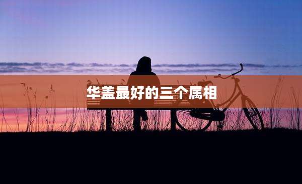 华盖最好的三个属相