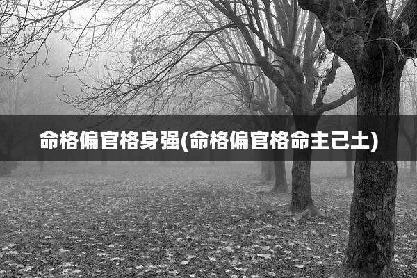 命格偏官格身强(命格偏官格命主己土)