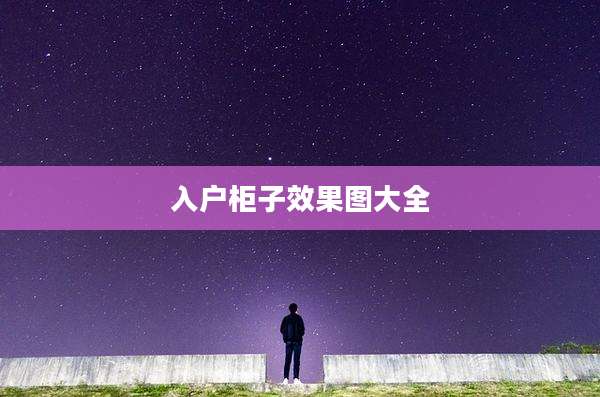 入户柜子效果图大全