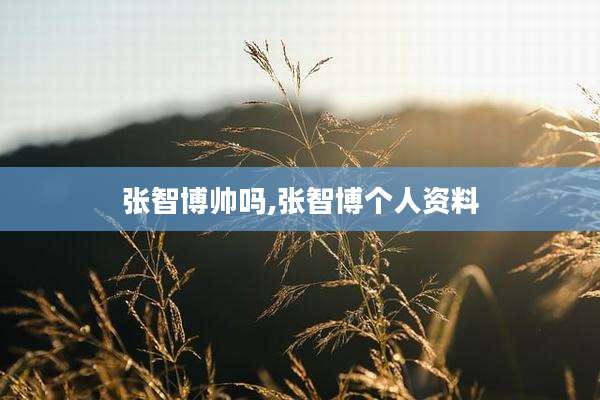 张智博帅吗,张智博个人资料
