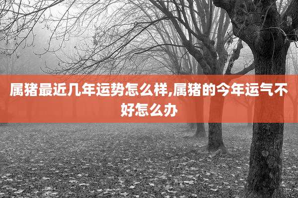属猪最近几年运势怎么样,属猪的今年运气不好怎么办
