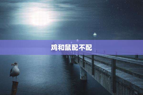 鸡和鼠配不配