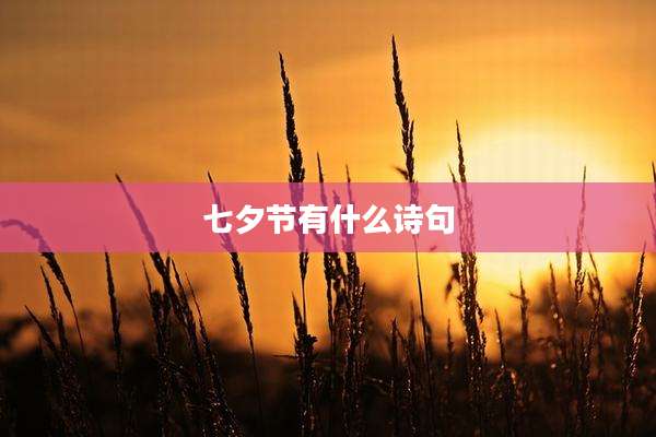 七夕节有什么诗句