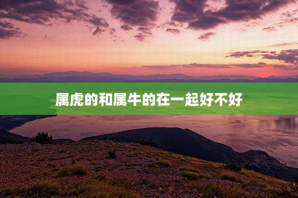 属虎的和属牛的在一起好不好