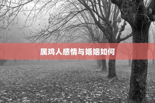 属鸡人感情与婚姻如何