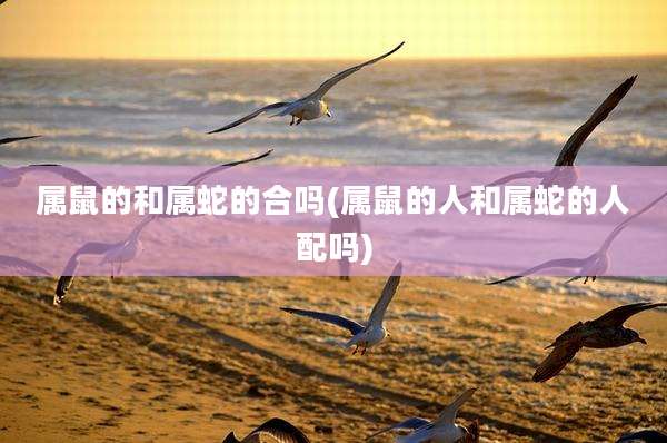 属鼠的和属蛇的合吗(属鼠的人和属蛇的人配吗)