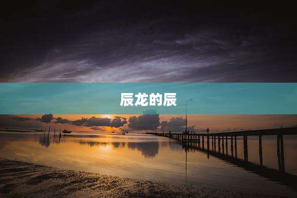 辰龙的辰