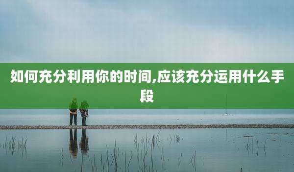 如何充分利用你的时间,应该充分运用什么手段