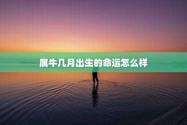 属牛几月出生的命运怎么样