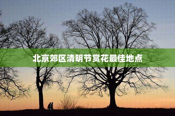 北京郊区清明节赏花最佳地点