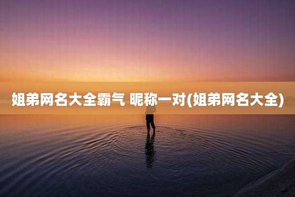 姐弟网名大全霸气 昵称一对(姐弟网名大全)