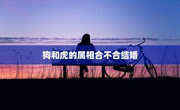 狗和虎的属相合不合结婚