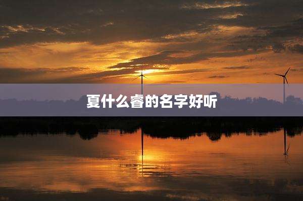 夏什么睿的名字好听