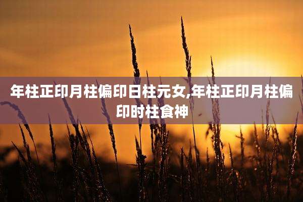 年柱正印月柱偏印日柱元女,年柱正印月柱偏印时柱食神