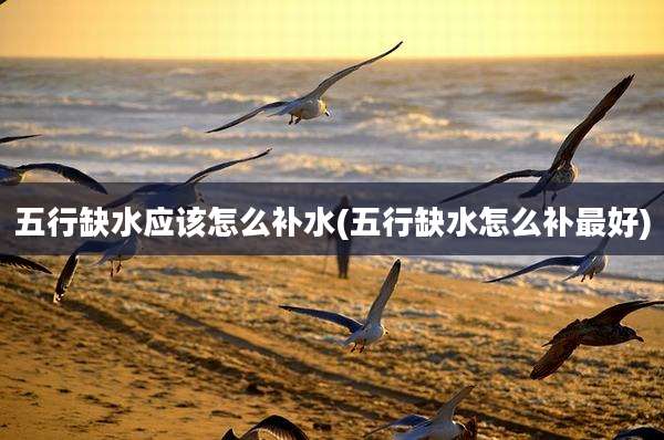 五行缺水应该怎么补水(五行缺水怎么补最好)