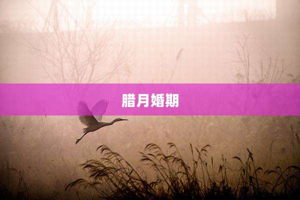 腊月婚期