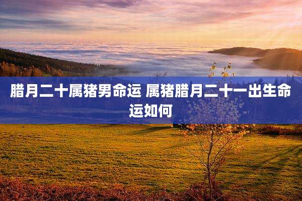 腊月二十属猪男命运 属猪腊月二十一出生命运如何