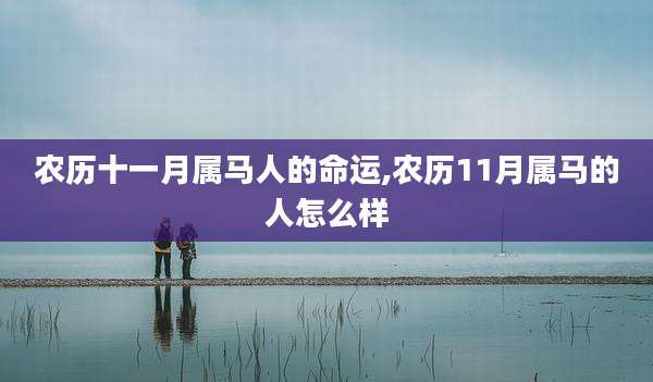 农历十一月属马人的命运,农历11月属马的人怎么样