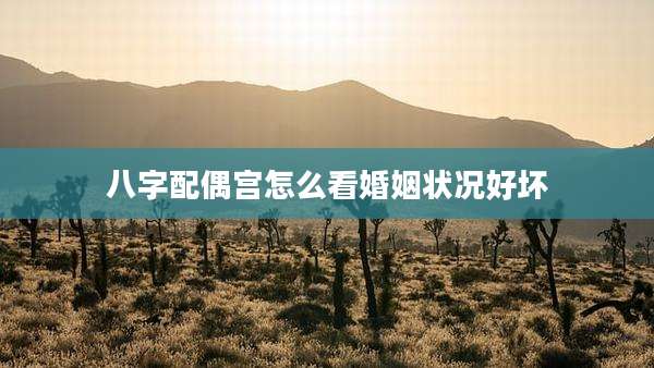 八字配偶宫怎么看婚姻状况好坏