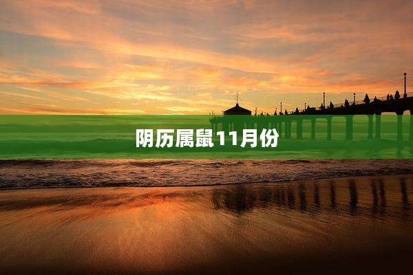 阴历属鼠11月份