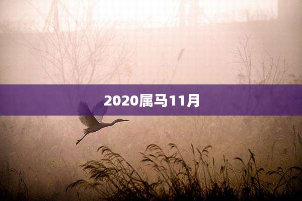 2020属马11月