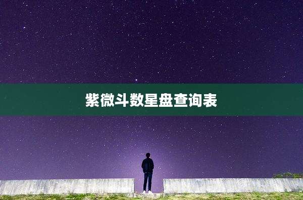 紫微斗数星盘查询表
