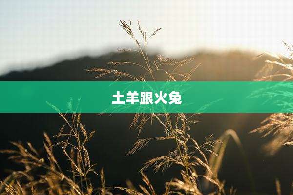 土羊跟火兔