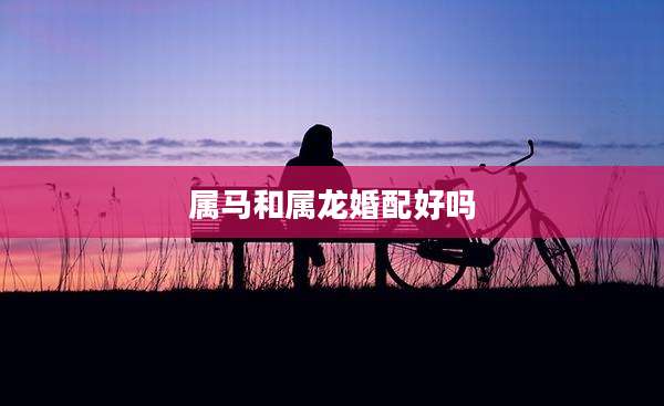 属马和属龙婚配好吗