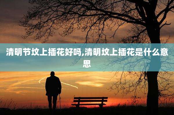 清明节坟上插花好吗,清明坟上插花是什么意思