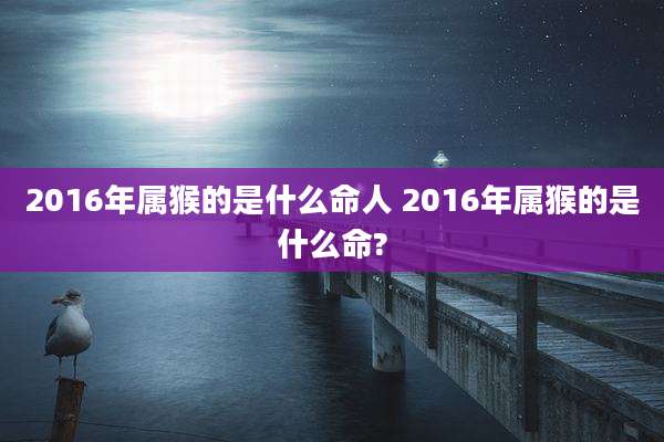 2016年属猴的是什么命人 2016年属猴的是什么命?