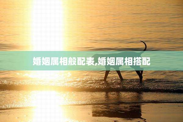婚姻属相般配表,婚姻属相搭配