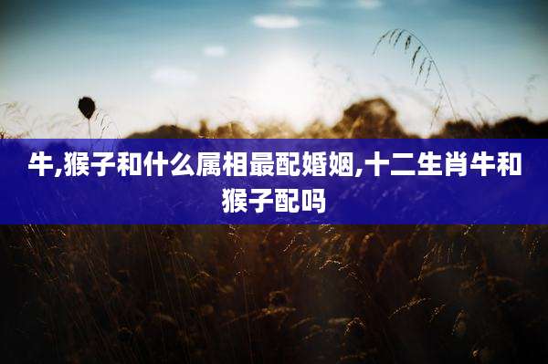 牛,猴子和什么属相最配婚姻,十二生肖牛和猴子配吗