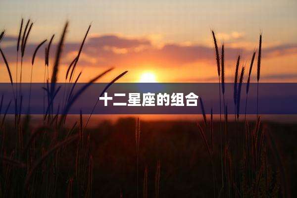 十二星座的组合