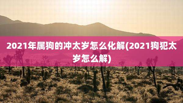 2021年属狗的冲太岁怎么化解(2021狗犯太岁怎么解)