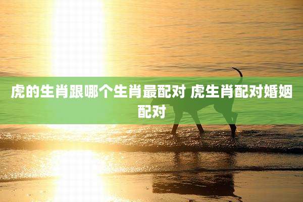 虎的生肖跟哪个生肖最配对 虎生肖配对婚姻配对