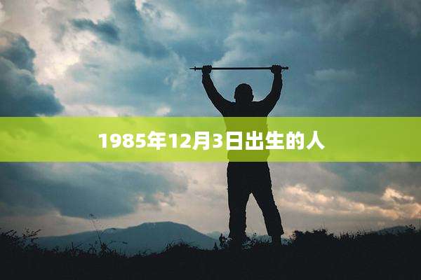 1985年12月3日出生的人