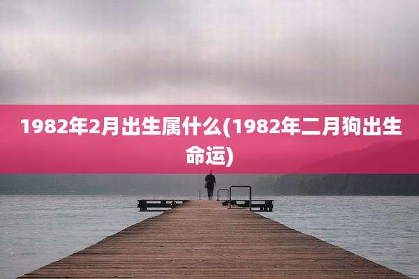 1982年2月出生属什么(1982年二月狗出生命运)
