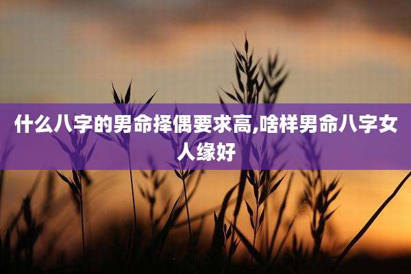 什么八字的男命择偶要求高,啥样男命八字女人缘好
