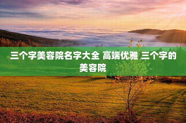 三个字美容院名字大全 高端优雅 三个字的美容院